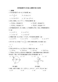 苏科版数学九年级上册期中复习试卷05（含答案）