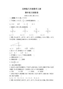 2021-2022学年北师大版八年级数学上册    期中复习训练卷 (word版含答案)