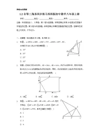 初中数学苏科版八年级上册1.2 全等三角形优秀精练