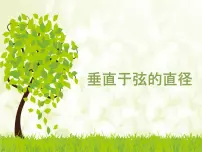 人教版九年级上册24.1.2 垂直于弦的直径教学课件ppt