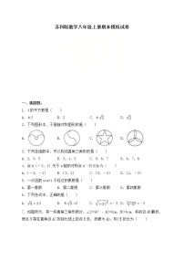 苏科版数学八年级上册期末模拟试卷08（含答案）