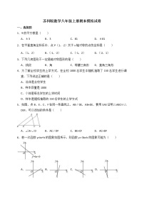 苏科版数学八年级上册期末模拟试卷10（含答案）