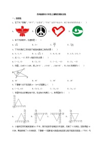 苏科版数学八年级上册期末模拟试卷02（含答案）