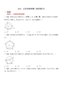 数学九年级上册第二十四章 圆24.3 正多边形和圆综合训练题