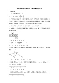 北师大版数学七年级上册期末模拟试卷四（含答案）