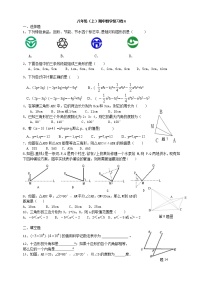 人教版八年级上学期数学期中测试卷