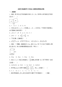 北师大版数学八年级上册期末模拟试卷10（含答案）