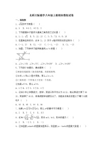 北师大版数学八年级上册期末模拟试卷04（含答案）