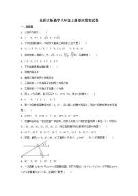 北师大版数学八年级上册期末模拟试卷01（含答案）