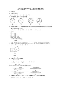 北师大版数学八年级上册期末模拟试卷02（含答案）