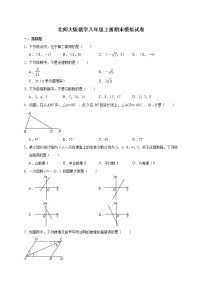 北师大版数学八年级上册期末模拟试卷07（含答案）