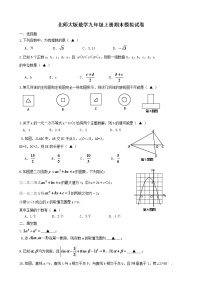 北师大版数学九年级上册期末模拟试卷07（含答案）