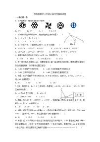 苏科版数学八年级上册月考模拟试卷05（含答案）