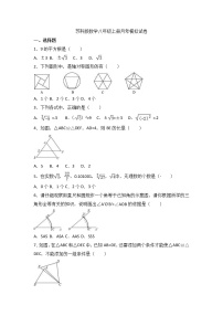 苏科版数学八年级上册月考模拟试卷07（含答案）