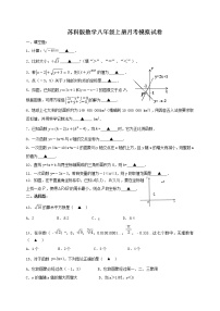 苏科版数学八年级上册月考模拟试卷10（含答案）