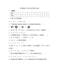 苏科版数学八年级上册月考复习试卷11（含答案）