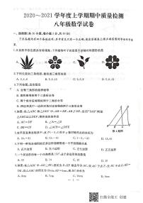 湖北省武汉市硚口区2020-2021学年度八年级上学期期中考试数学试题    扫描版含答案