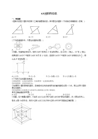 数学九年级上册8 图形的位似课时练习