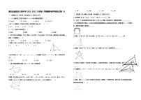 湖北省崇阳县大集中学2021-2022八年级上学期期中数学模拟试卷（3）（无答案）