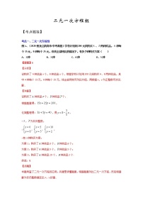 专题07 《二元一次方程组》（解析版+原卷版）-期末复习2021-2022学年七年级下学期数学（人教版）