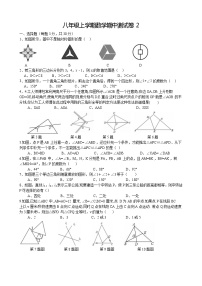 八年级上学期数学期中测试卷2