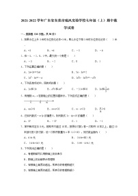 2021-2022学年广东省东莞市瑞风实验学校七年级（上）期中数学试卷