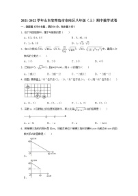 山东省青岛市市南区2021-2022学年 八年级上学期 期中数学试卷