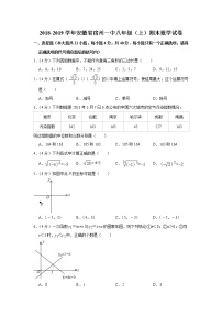 2018-2019学年安徽省宿州一中八年级（上）期末数学试卷