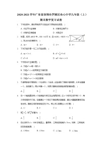 2020-2021学年广东省深圳市罗湖区布心中学九年级（上）期末数学复习试卷