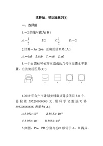 中考数学总复习精炼（含答案）：11选择题、填空题集训