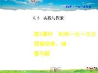 华师大版七年级下册6.3 实践与探索教学课件ppt