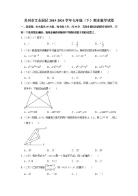 【名校试卷】苏州工业园区2019-2020学年7年级数学下册期末调研试卷（含答案）