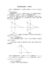 (通用版)中考数学二轮专题复习《代数几何综合问题》专项练习(含答案)