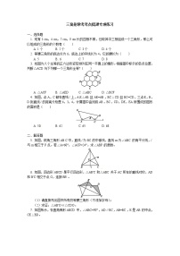 (通用版)中考数学二轮专题复习《三角形的相关问题》专项练习(含答案)