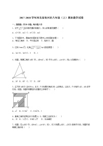 2017-2018学年河北省沧州市八年级（上）期末数学试卷（解析版）