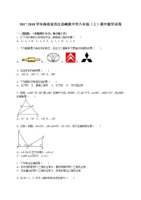 2017-2018学年海南省昌江县峨港中学八年级（上）期中数学试卷（解析版）