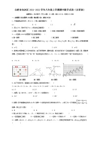 安徽省合肥市包河区2021-2022学年八年级上学期期中数学试卷 （word版 含答案）