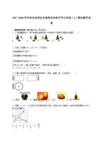 河北省保定市高阳县宏润中学九年级（上）期末数学试卷（解析版）