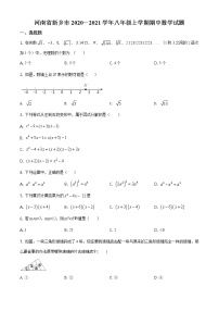 华师版2020—2021学年第一学期八年级上期末考数学试卷（含答案）河南省新乡市期中