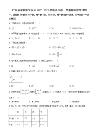 北师版2020—2021学年第一学期八年级上期末考数学试卷（含答案）广东省深圳市宝安区期末