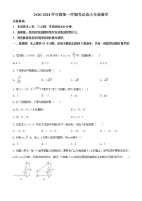 北师版2020—2021学年第一学期八年级上期末考数学试卷（含答案）河南省平顶山市期中