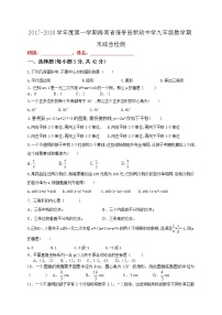 海南省保亭县新政中学九年级数学期末综合检测解析版
