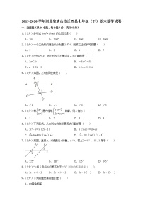 2019-2020学年河北省唐山市迁西县七年级（下）期末数学试卷