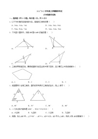 湖北省武汉市东西湖区2021~2022学年八年级上学期期中考试数学【试卷+答案】