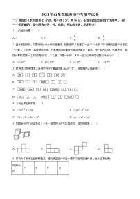 2021年山东省威海市中考数学真（原卷+解析）