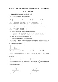 2020-2021学年上海市浦东新区部分学校七年级（上）期末数学试卷（五四学制）