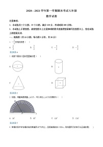 河南省洛阳市嵩县2020-2021学年七年级上学期期末考试数学试题