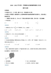 河南省洛阳市伊川县2020-2021学年七年级上学期期末数学试题