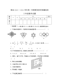 河北省沧州市青县2020-2021学年八年级上学期期末考试数学试题