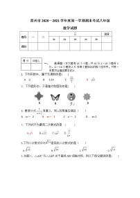 河北省晋州市2020-2021学年八年级上学期数学期末考试试卷